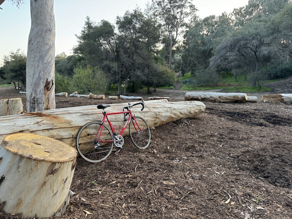 A red road bicycle leans against a horizontally placed log in a natural, outdoor setting with wood chips covering the ground. There are multiple logs positioned parallel to each other, some as benches and others lying on the ground. These logs appear to have been recently cut, as indicated by their light-colored wood and clean edges. Behind the bicycle, a variety of trees and dense foliage can be observed, suggesting that this area is in a park or a wooded region. There is a large tree trunk to the left of the bicycle that stands vertically, contrasting with the felled logs.