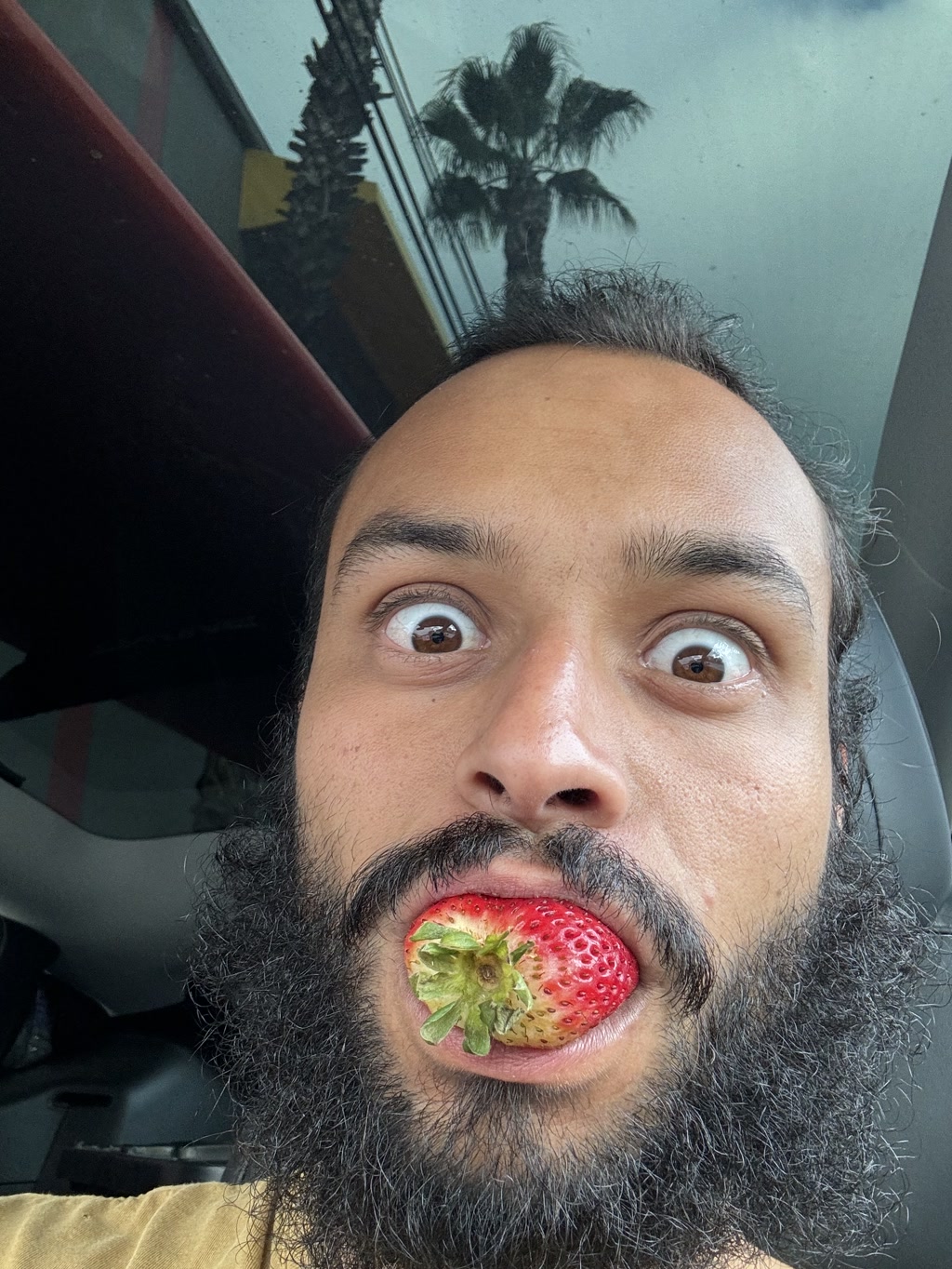 A person with a sizable, well-groomed beard and wide, surprised-looking eyes is holding a large strawberry in their mouth. The strawberry is positioned with the green leafy top pointing outwards, making it appear as if it is sticking out of the person's mouth. The individual has dark hair and eyebrows, and there's a suggestion of a vehicle interior reflected in the window behind, which also shows a couple of palm tree silhouettes against the sky.