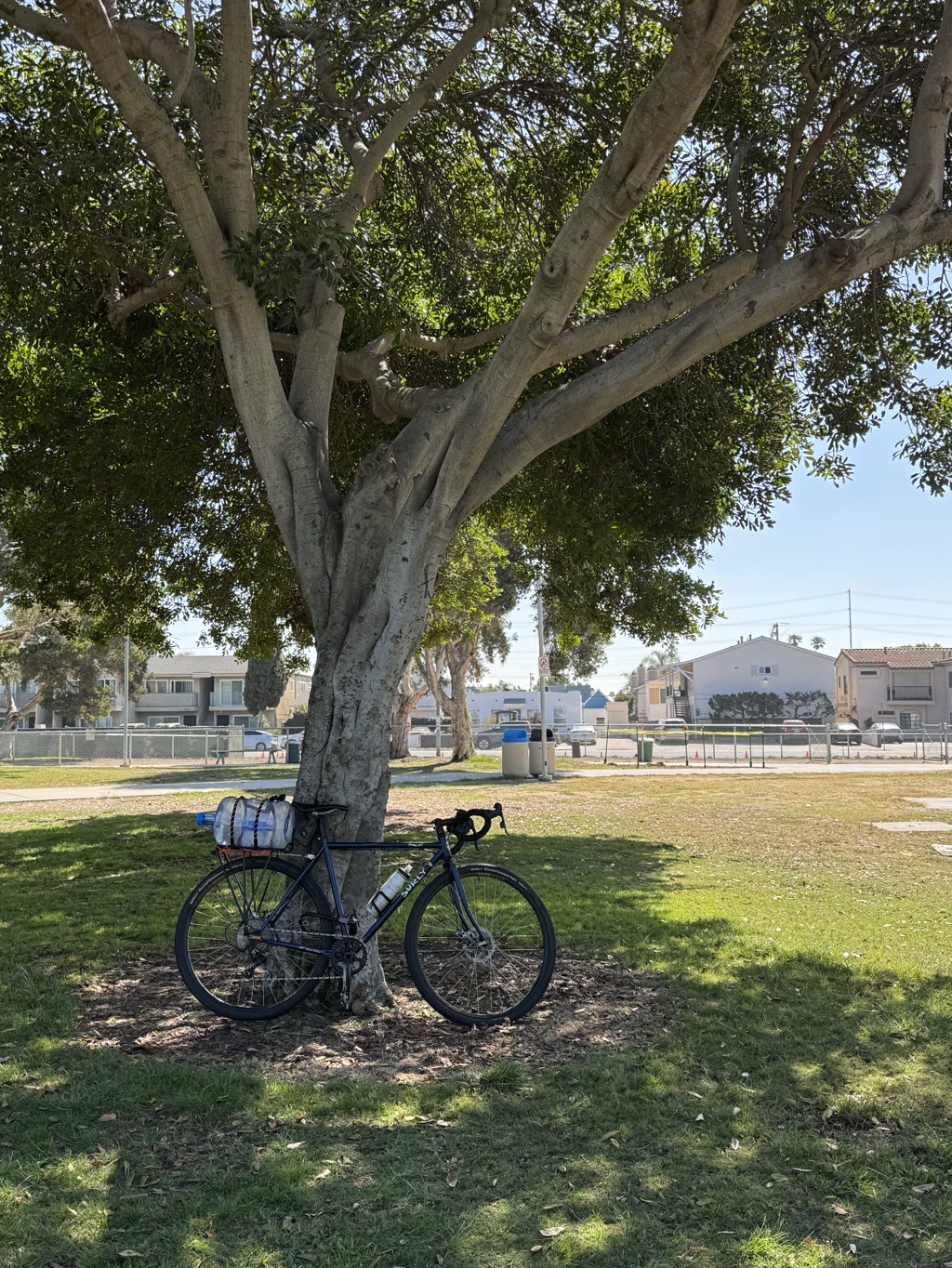 A sturdy tree with a thick trunk and dense foliage stands on a grassy area, casting a shadow underneath. Leaning against the tree is a bicycle laden with gear, including a rolled-up item that could be a sleeping bag or a tent, and several water bottles attached to the frame. In the background, a chain-link fence encloses a field, with residential buildings and power lines in the further distance under a clear blue sky.