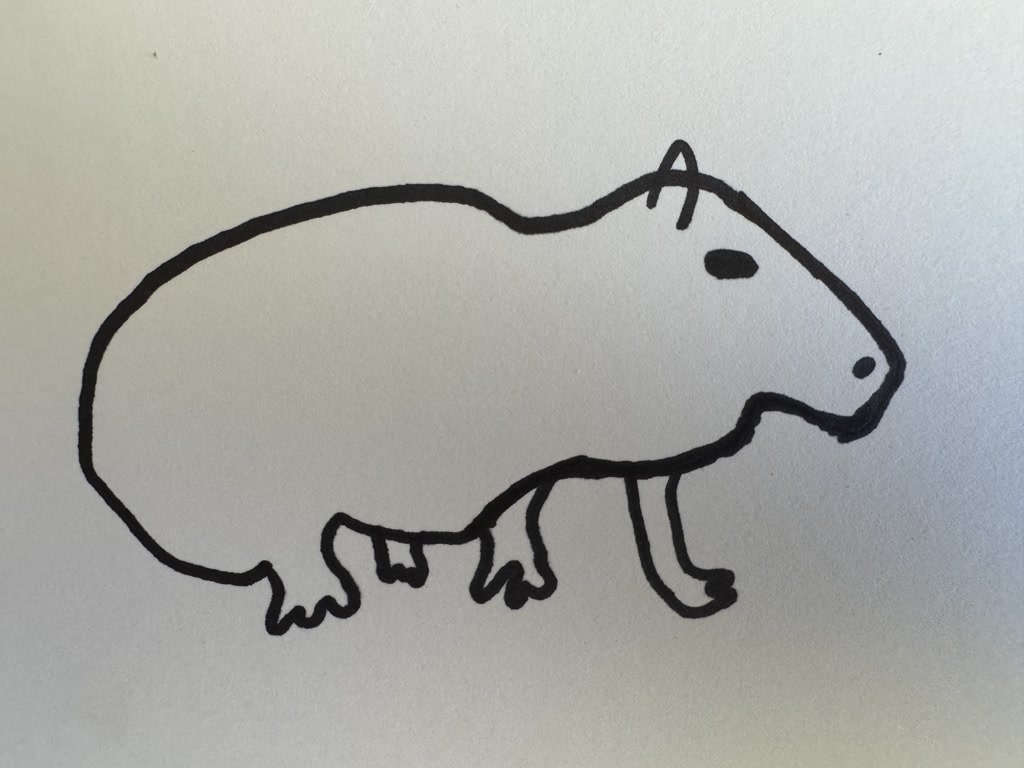 A simple black line drawing depicts a capybara, a large rodent, characterized by its rounded body, prominent snout, small ears, and short limbs. The drawing is stylized with minimal detail, outlining the unique shape of the capybara with no additional features or colors.