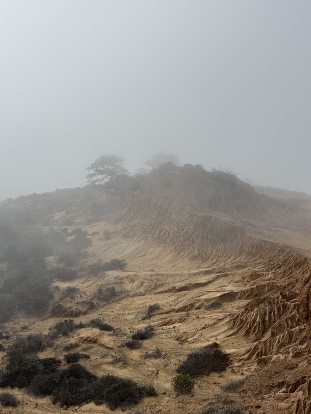 The scene is a rugged, arid landscape with deep erosion gullies. The terrain is characterized by dry, sandy soil and sparse vegetation, primarily small shrubs scattered across the area. In the background, there are a few isolated trees, partially obscured by a hazy atmosphere. The overall visibility is limited due to a thick fog or mist that envelops the landscape, creating a muted and solitary atmosphere.