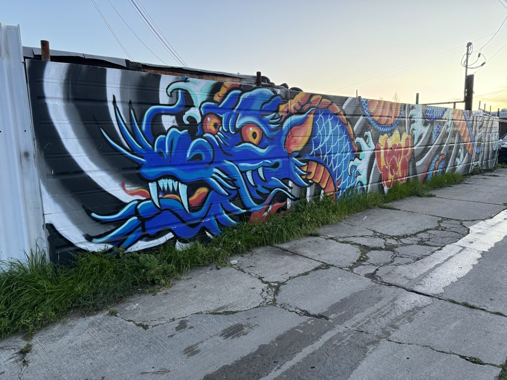 A vibrant, graffiti-style mural is painted on a corrugated metal fence. The artwork features a prominent, fierce-looking creature with stylized blue and red scales, glaring eyes, and ornate, swirling patterns. Seemingly inspired by traditional Asian dragon motifs, the dragon dominates the mural as it weaves through various abstract and floral designs that are adorned in bright colors.