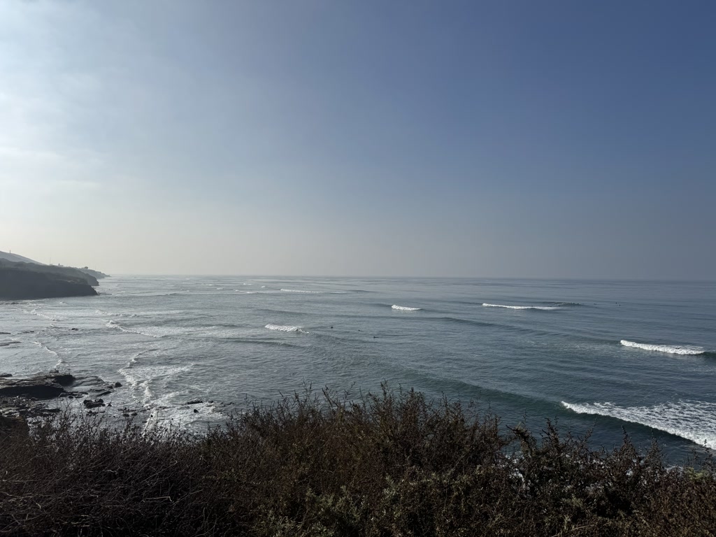 The scene showcases a vast, open ocean under a clear blue sky. Gentle waves roll towards a rugged coastline, where cliffs meet the water. The foreground is lined with shrubbery, and the horizon stretches far into the distance, giving a sense of serenity and vastness. The ocean appears calm, and a few small waves are breaking gently as they approach the shore.