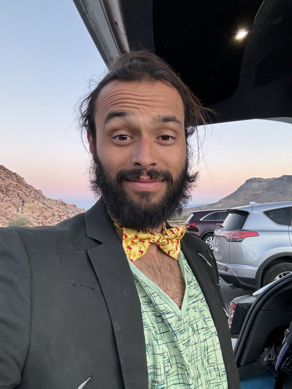 A man with a friendly expression is taking a selfie. He has long hair and a full beard, and he is wearing a green shirt with a black suit jacket over it. The jacket has a couple of visible threads on the front. He is also sporting a bowtie with a distinctive yellow color and a recurring red cherry pattern. Behind him is the twilight sky mingling pinks and blues as well as rocky terrain; several parked cars indicate he is in a parking area, possibly near nature or a scenic lookout.